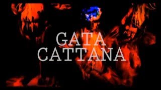 Gata Cattana  Samsara Prod NICO MISERY [upl. by Ogdan]