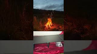 Skunk crawled in my tent  atvlife atvcamping maritimer camping skunk shorts atv funny [upl. by Anehc]