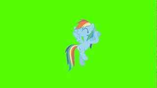 Rainbow Dash Silent Celebration  Green Screen Ponies [upl. by Innus]