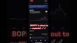 BOPPY crypto cryptocurrency memecoin memes [upl. by Aneelehs]