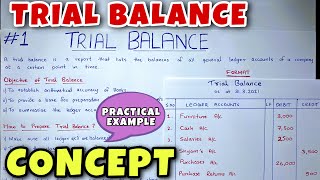 Trial Balance  Concept amp Problem  Class 11  BCOM  CA Foundation [upl. by Chiaki243]