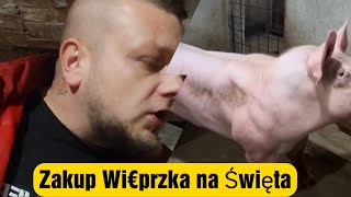 Wi€przek na Boże Narodzenie [upl. by Mehalek]