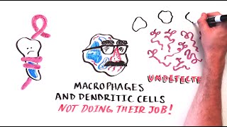 EXPLAINING EBOLA The science behind the outbreak [upl. by Nowed]