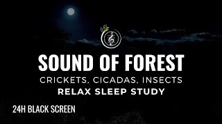 Sound of FOREST Crickets Cicadas Insects  24h NATURE SOUND FOR SLEEP MEDITATION amp FOCUS 🌿🌙 [upl. by Eninahpets]