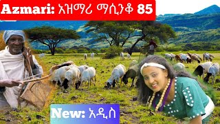 Ethiopia ምርጥ የአገር ትዝታ አዝማሪ ማሲንቆ  Azmari Masinko  Best Ethiopian Azmari Music Part 85 [upl. by Frazer]