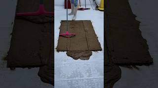 30 minutes of spectacular asmr video transforming the worlds dirtiest carpet into the cleanest [upl. by Candide]