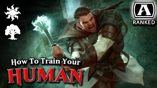 Training Humans  Crimson Vow Standard  Ranked  MTG Arena [upl. by Jo-Ann577]