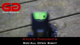 Thoughts on the See All Open Sight [upl. by Sioux]