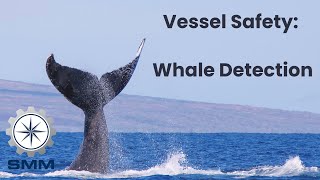 Detecting and Avoiding Whales  CEO Tech Talk from SMM 2024 excerpt [upl. by Ewnihc611]