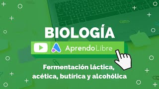 Fermentación láctica acética butírica y alcohólica [upl. by Darell]