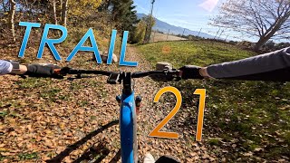 Herbst in Spinges  EMTB Trail Ride 21  Cube Stereo Hybrid 140  4K 60fps [upl. by Weber870]