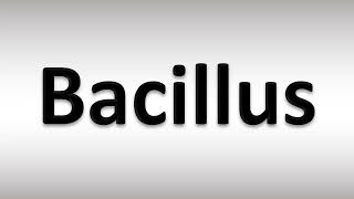 How to Pronounce Bacillus [upl. by Htomit]