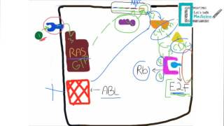 Molecular Basis of Carcinogenesis [upl. by Nyllaf]