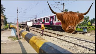 Dangerous Bull Headed ICF Emu Local Furious Moving Throughout At Railgate [upl. by Dnalor]