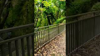 Осінь Charleville Mézières Ardenne France france life live nature [upl. by Sonahpets]