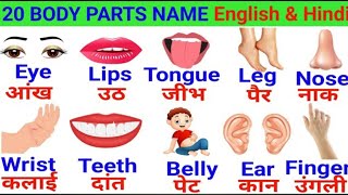 sharir ke ango ke naam  body parts name  parts of body chatkily siksha [upl. by Cord]