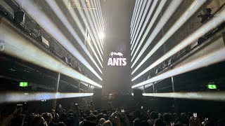 ANTS  Printworks  The Final Season  London 05022023 [upl. by Auqkinahs177]