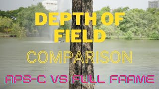 Can you get Full frame depth of field on APSC camera  Depth of Field comparison [upl. by Coffin]