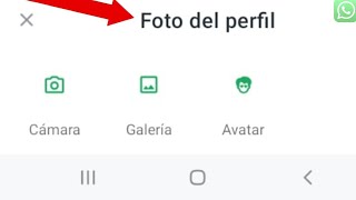 Como CAMBIAR la FOTO de PERFIL de WHATSAPP 2024 [upl. by Avehs138]