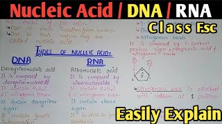 Nucleic Acid Composition  DNA  RNA  Class 11 amp 12 Biology [upl. by Abrahamsen]