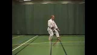 07 KATA SHORINRYU Matsubayashi Pinan Nidan [upl. by Adnotal455]