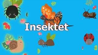 Insektet punëtore Video për fëmijë në shqip Abc shqip [upl. by Meean]