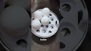 Electric egg Boiler review ₹299 how to use [upl. by Woermer]