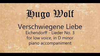 Verschwiegene Liebe for low voice piano accompaniment [upl. by Leunamnauj]