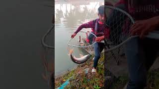 Wow hook catching video by mrigel fish wonderful fishing Video facebookviral fishing fish [upl. by Leryt]