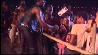 Toots amp the Maytals  Reggae Sunsplash Jamaica1982 [upl. by Oirottiv]