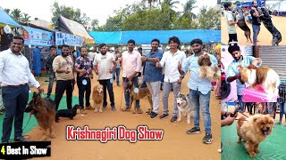 Krishnagiri Dog Show  Dreamer Paul Vlog [upl. by Sivram]