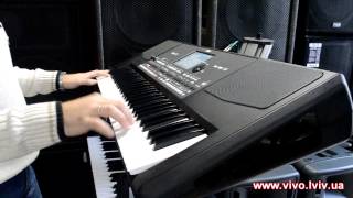 Korg PA600 Магазин quotВІВОquot [upl. by Camm122]