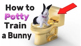 How To POTTY TRAIN a Rabbit [upl. by Ettenoitna]