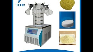 TF10C Vacuum Freeze DryerLyophilizer [upl. by Otcefrep]