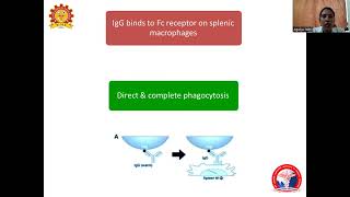 Acquired hemolytic anemia Dr Agalya [upl. by Eladnwahs]