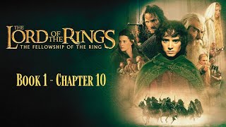 Lord Of The Rings Audiobook  Chapter 10 [upl. by Sadira346]