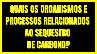 Quais os organismos e processos relacionados ao sequestro de carbono [upl. by Timus]