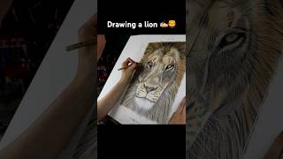 Drawing a lion with Colored Pencils ✍🏼🦁 drawing coloredpencils art [upl. by Yffat557]