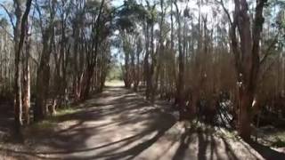 Naturally Gold Coast 360 Virtual Tour Coombabah Lakelands Conservation Area [upl. by Kera]