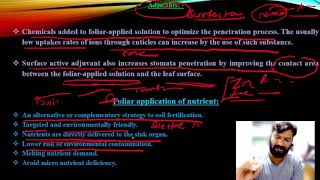 Foliar uptake Mechanism ARS exams [upl. by Gustie]