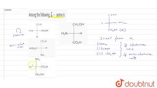 Among the following L serine is [upl. by Etnaihc]