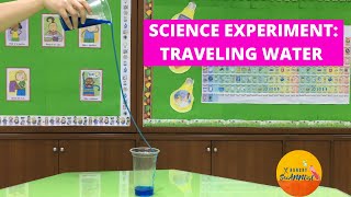 Traveling Water Experiment  Cohesion and Adhesion in Water Explained  Science Experiment for Kids [upl. by Vergne]