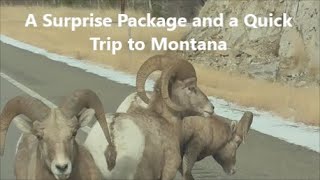 A Surprise Package and a Quick Trip to Montana [upl. by Toshiko497]