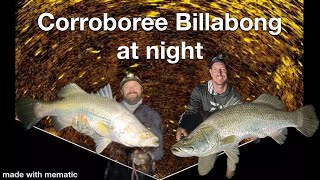 Corroboree Billabong at night [upl. by Eynaffit497]