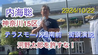 【内海聡】神奈川15区街頭演説テラスモール湘南前20241022 [upl. by Rocco625]