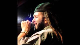 Alborosie  No Cocaine HD [upl. by Lobiv431]