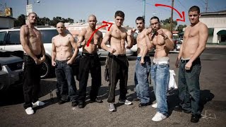 The Diaz Brothers The Biggest Gangsters in combat sports [upl. by Gorden692]