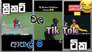 Cricket Funny 😂 Tik Tok Collection  Sinhala [upl. by Hellah232]