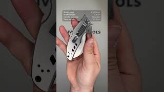 Spyderco Crossbill SS plain edge pocket knife [upl. by Nauqet]