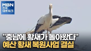 quot충남에 황새가 돌아왔다quot…예산 황새 복원사업 결실 전국네트워크 [upl. by Freddy]